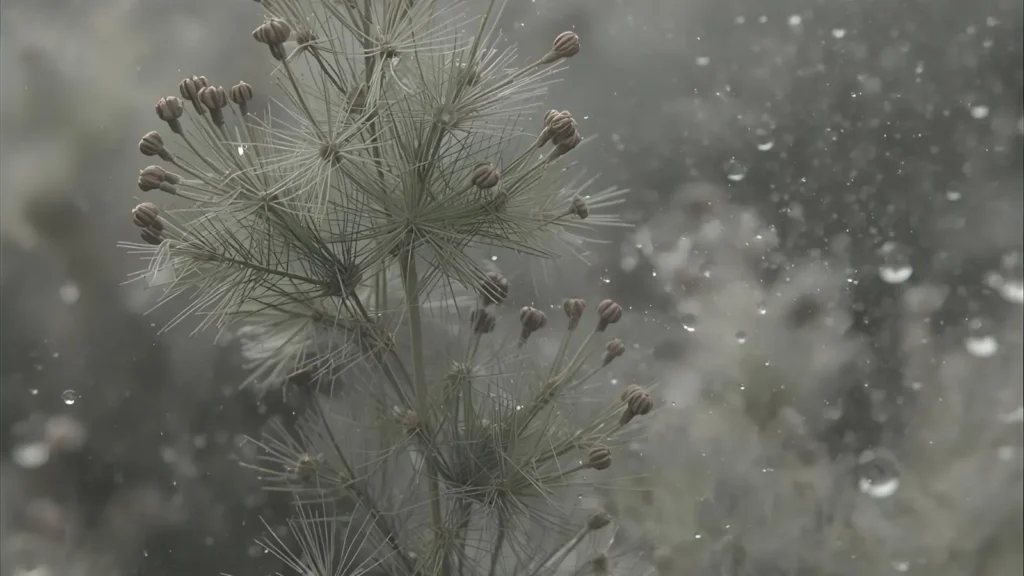 For Private Journaling Emotional Reflection