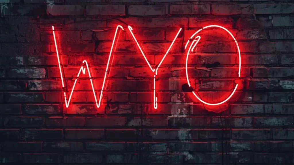 wyo meaning in slang what does wyo mean in slang