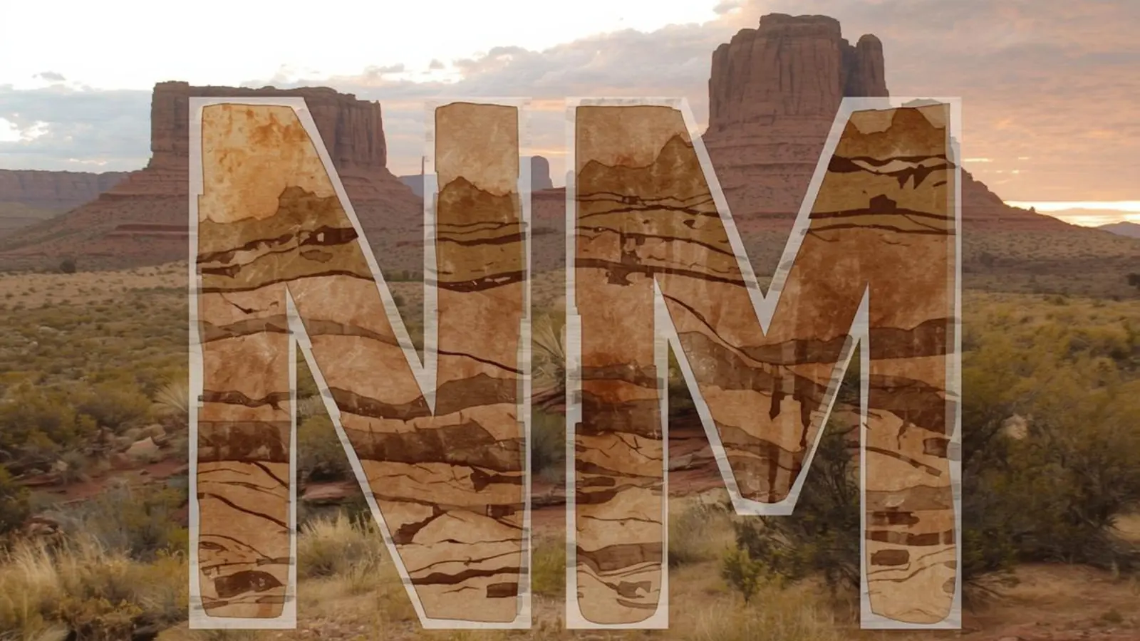 NM Meaning in Texting 2026