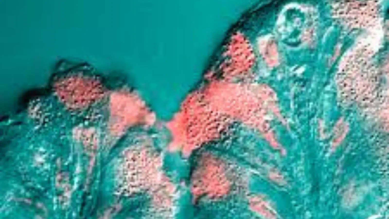 what does green mucus mean