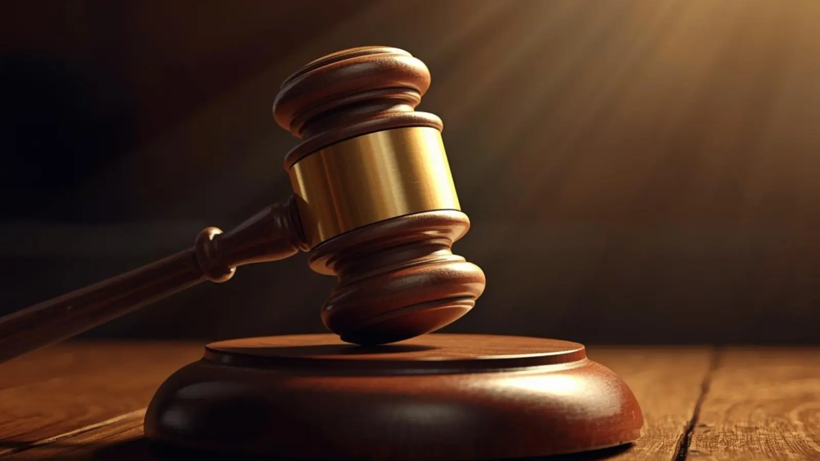 what does litigation mean