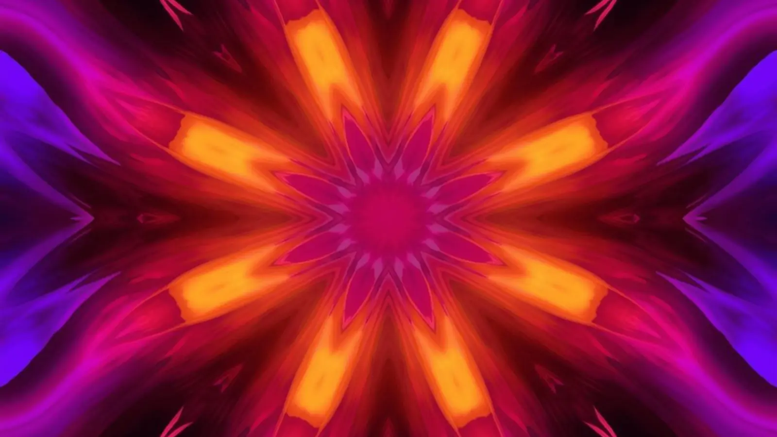 what does polarized mean