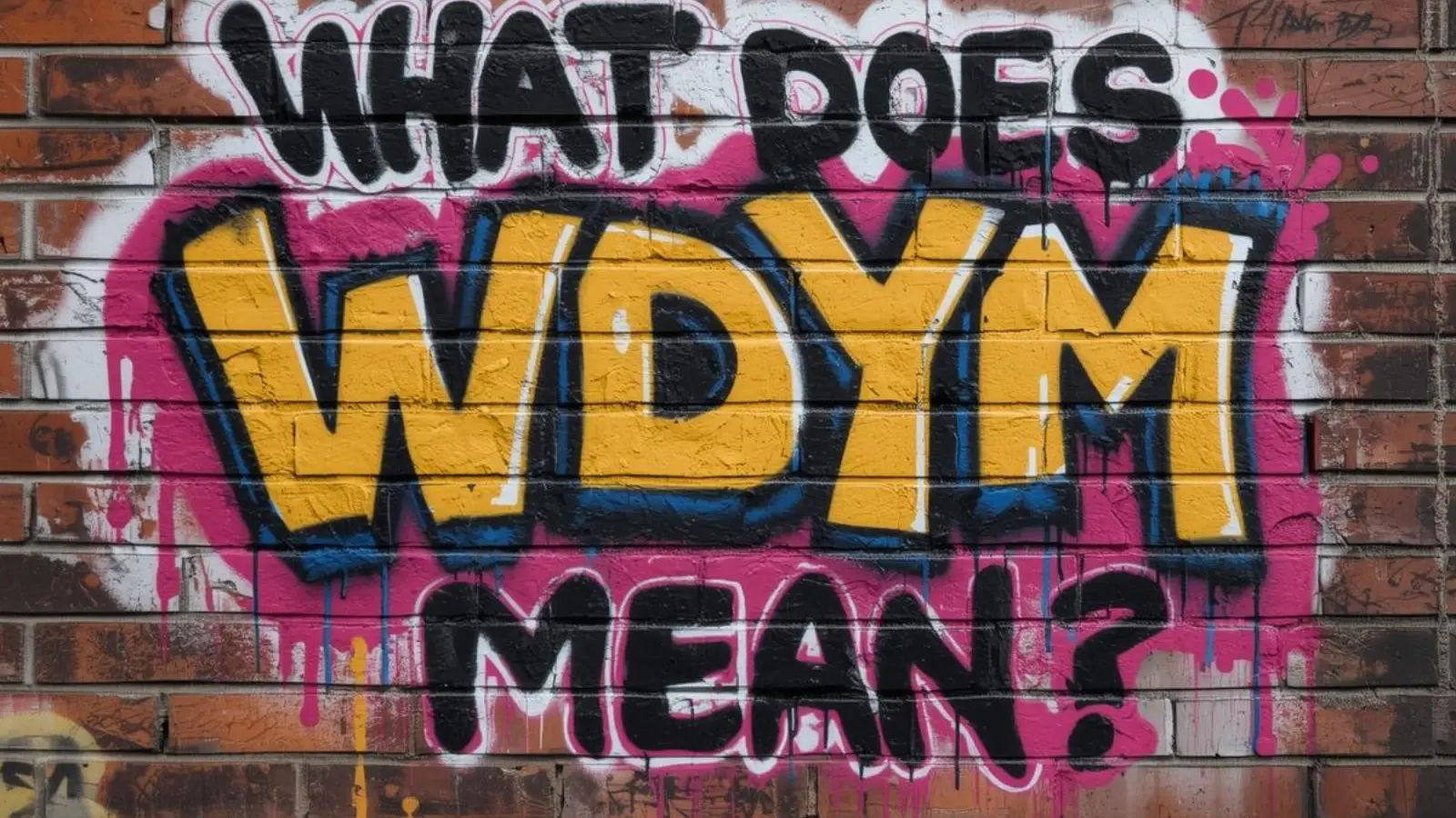 what does wdym mean