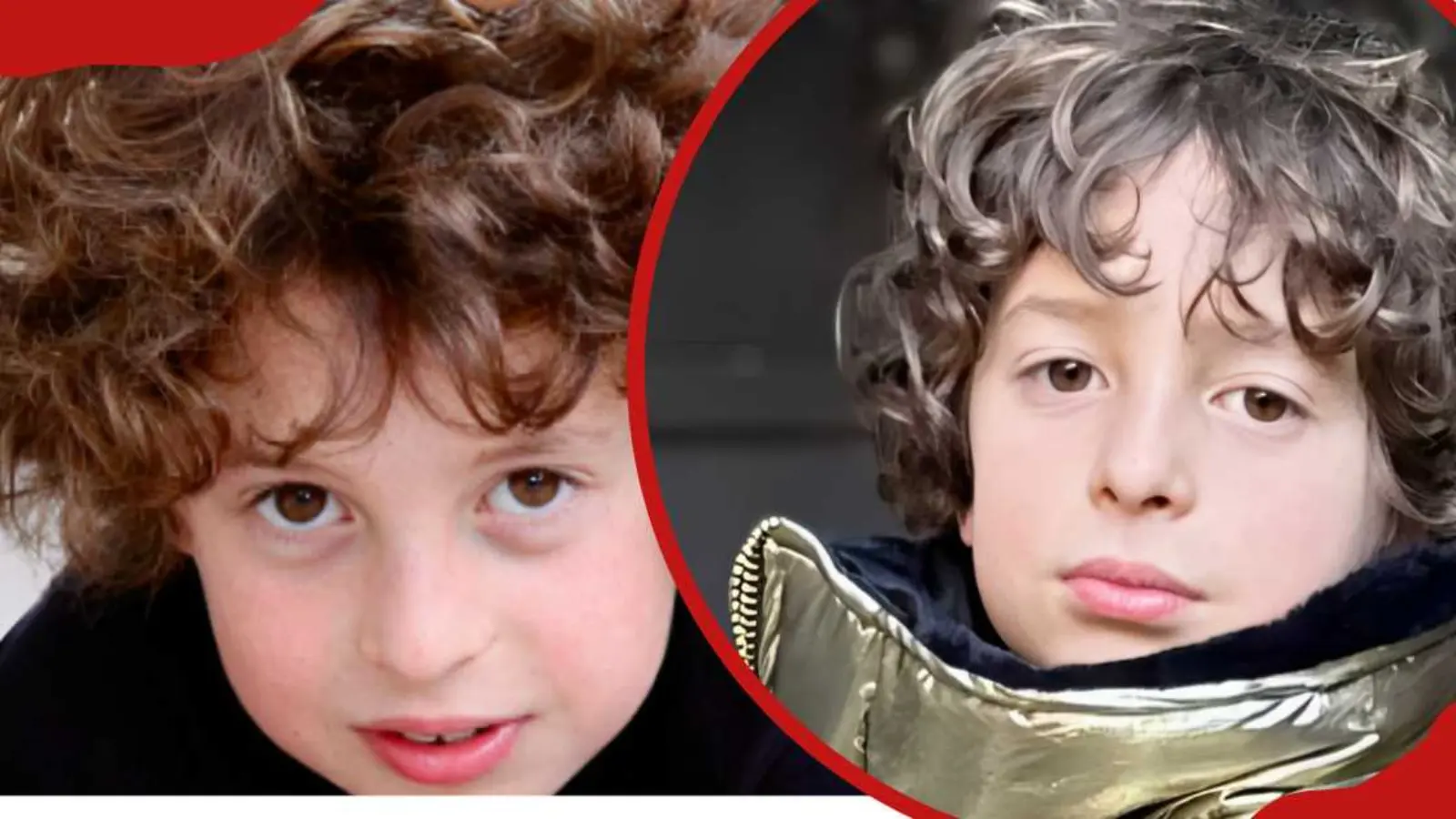 max alexander net worth