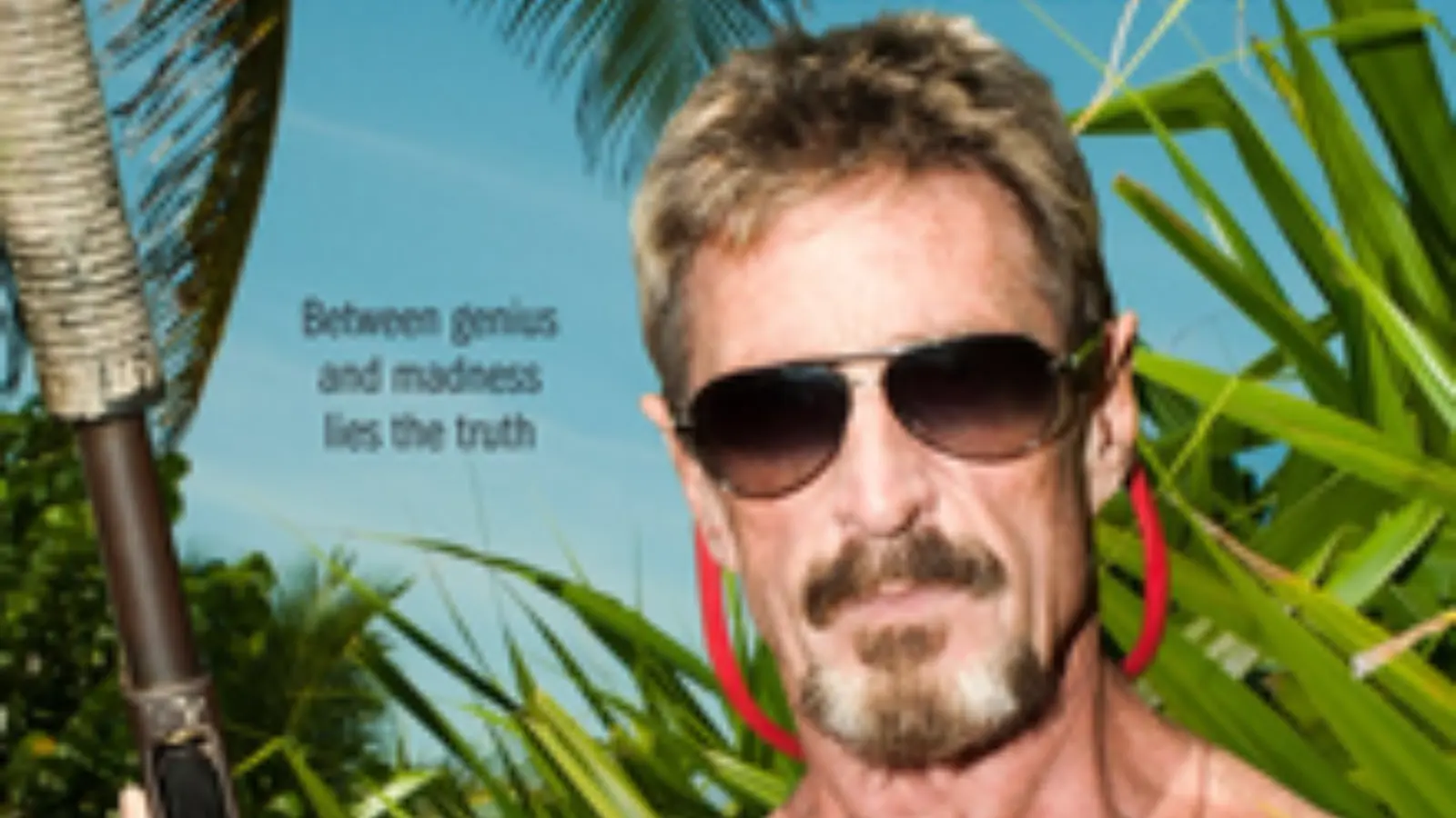 what does gringo mean